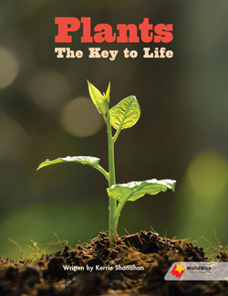 Plants: The Key to Life