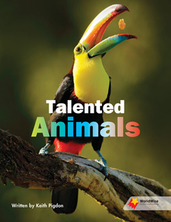 Talented Animals