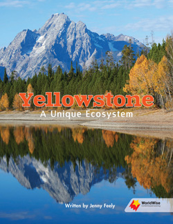 Yellowstone: A Unique Ecosystem
